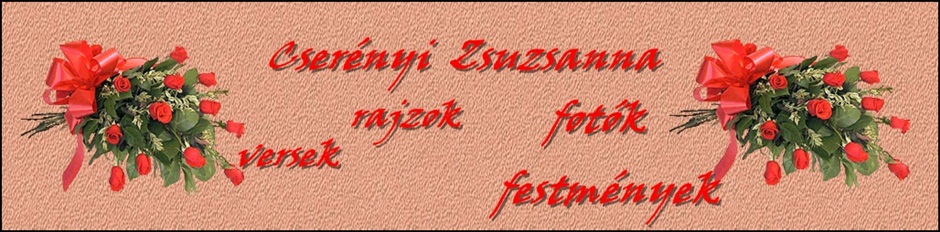 cserenyizsuzsa-site ( Csernyi Zsuzsa hivatalos oldala. All Rights Reserved! )Bngsz: IE